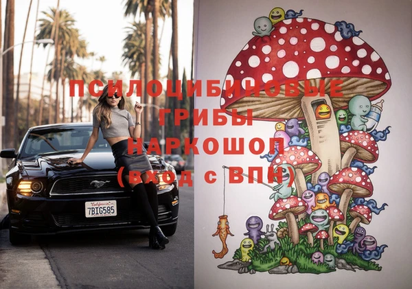 мдпв Аркадак