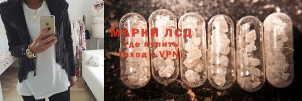стафф Арсеньев